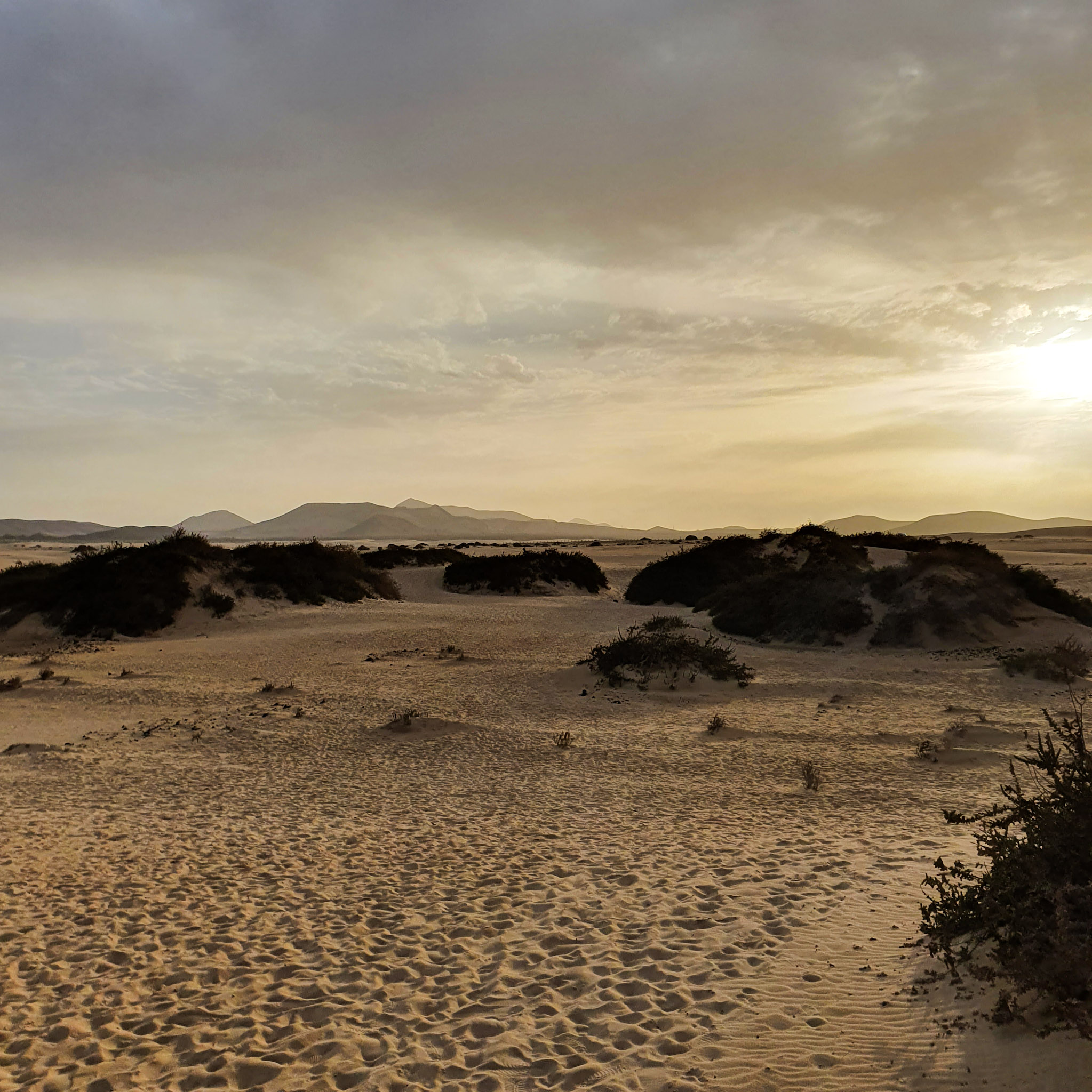 dunes-de-sables-au-coucher-du-soleil