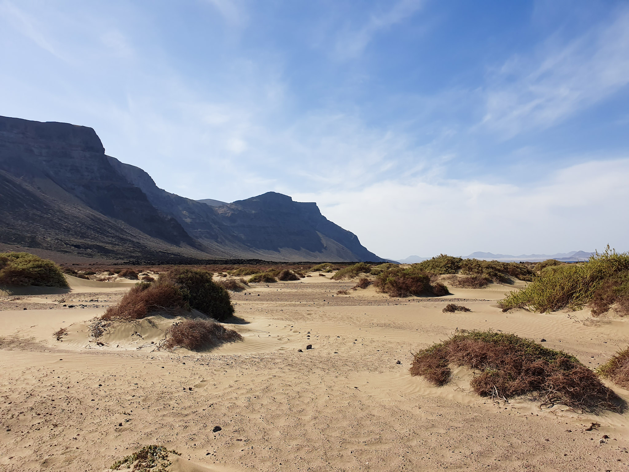 paysage-desertique-avec-une-chaine-de-montagne-en-arriere-plan