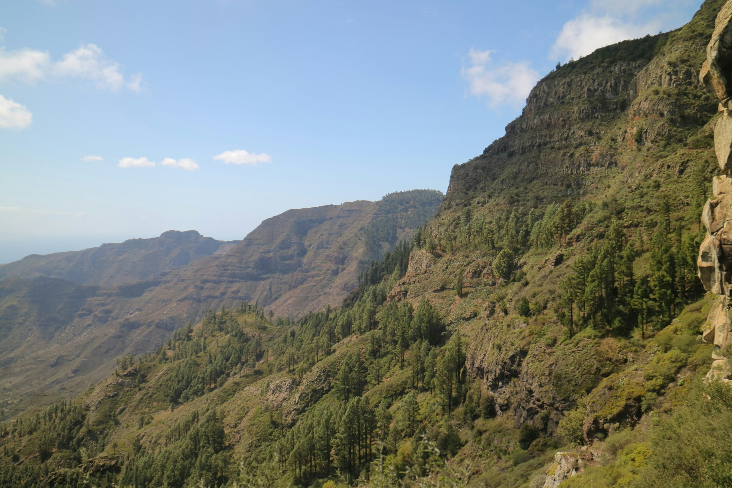 quelle-ile-des-canaries-choisir-la-gomera-une-vue-sur-un-flanc-de-montagne-avec-des-arbres-sur-le-cote