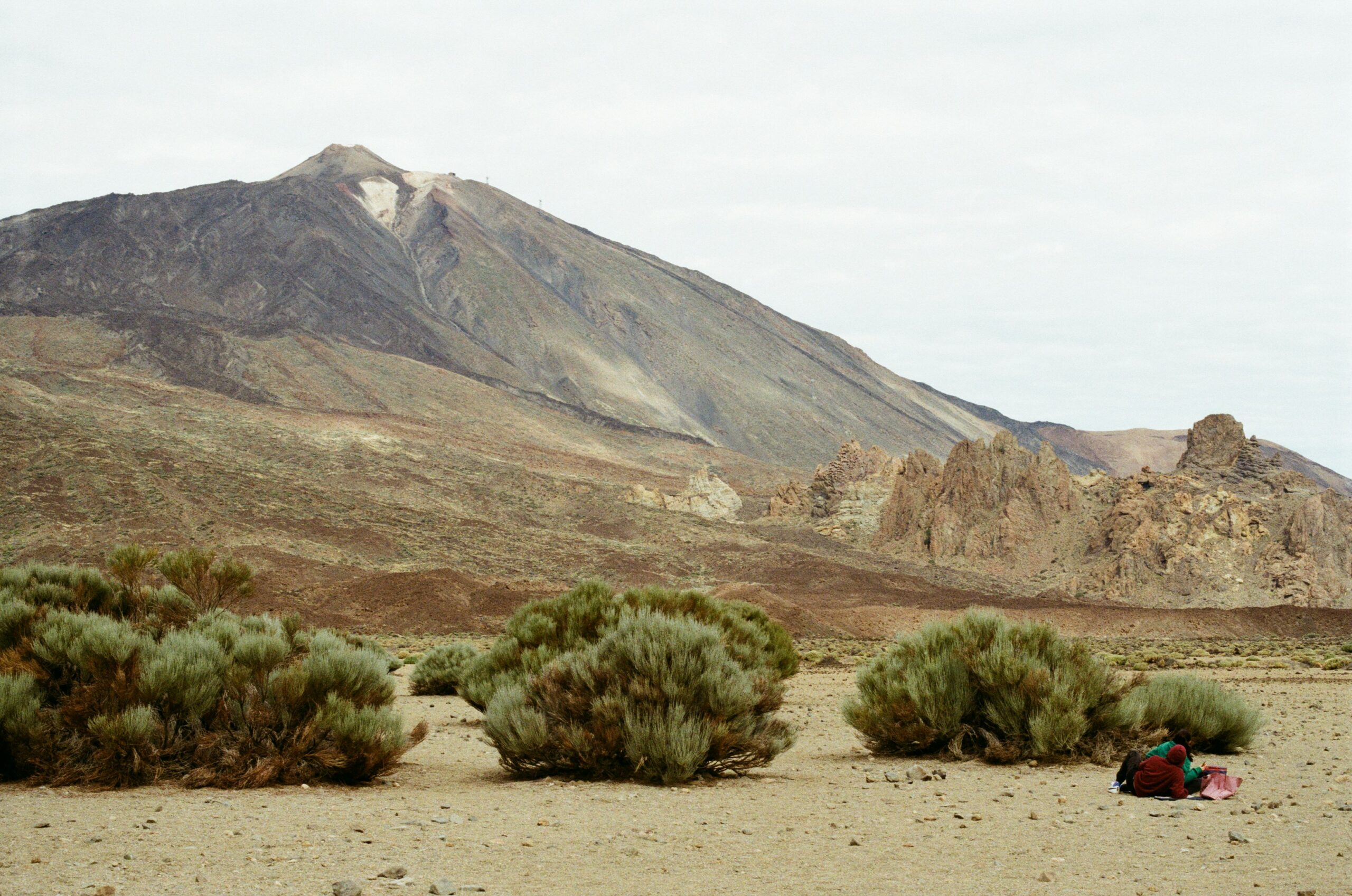 quelle-ile-des-canaries-choisir-tenerife-parc-national-tiede-un-couple-de-buissons-assis-au-milieu-dun-desert