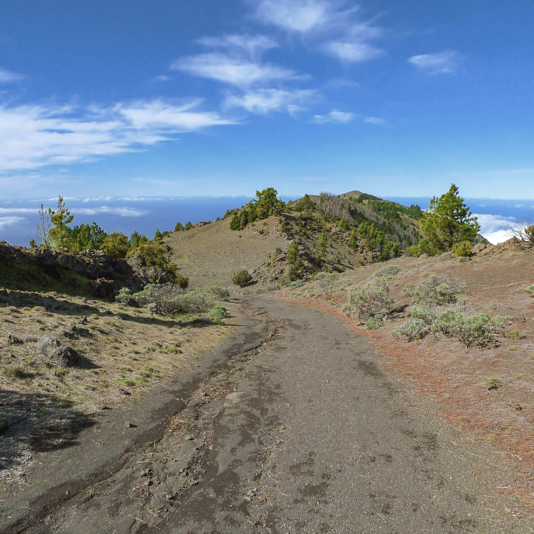 iles-canaries-les-plus-belles-randonnees-el-hierro-camino-de-la-virgen