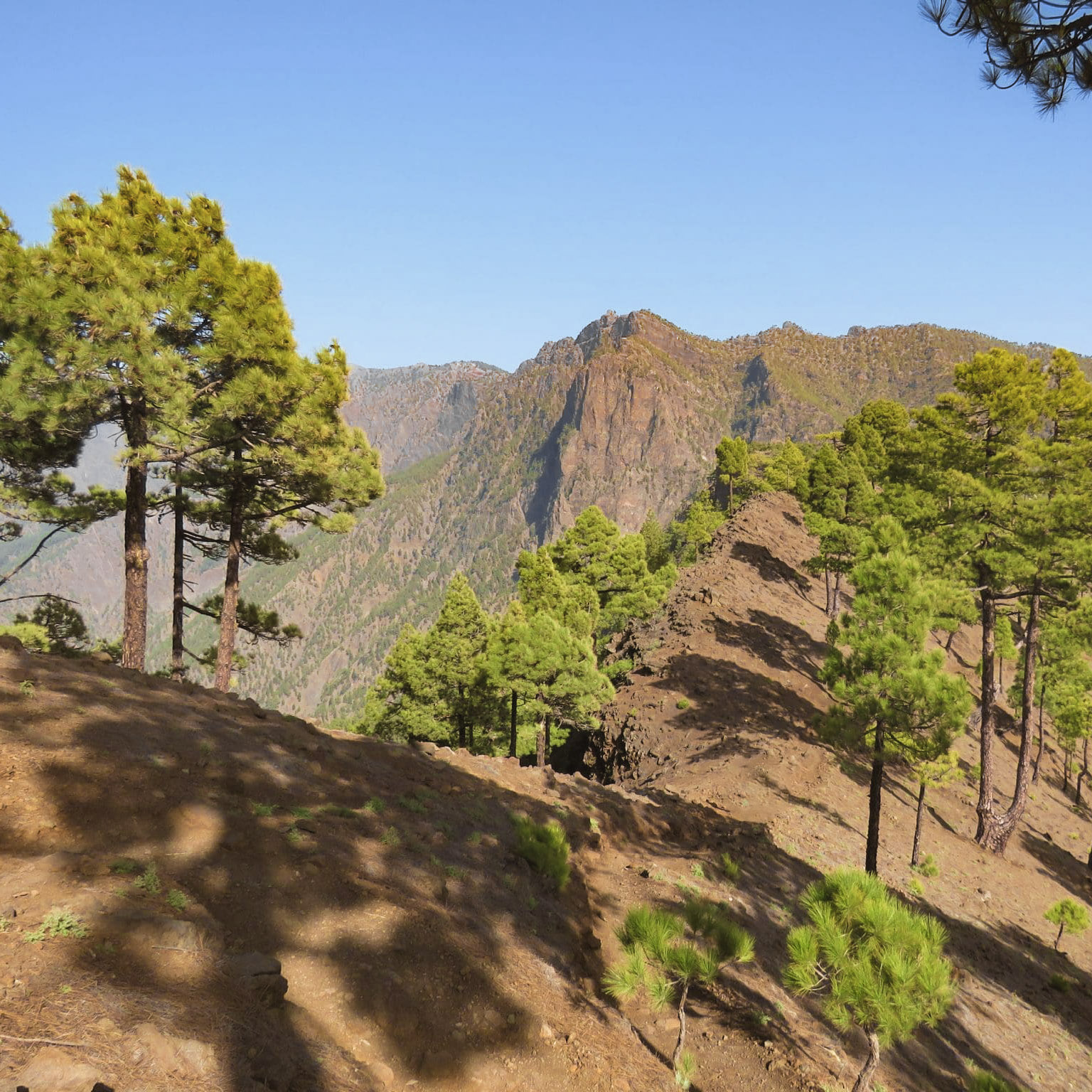 iles-canaries-les-plus-belles-randonnees-la-palma-caldera-de-taburiente