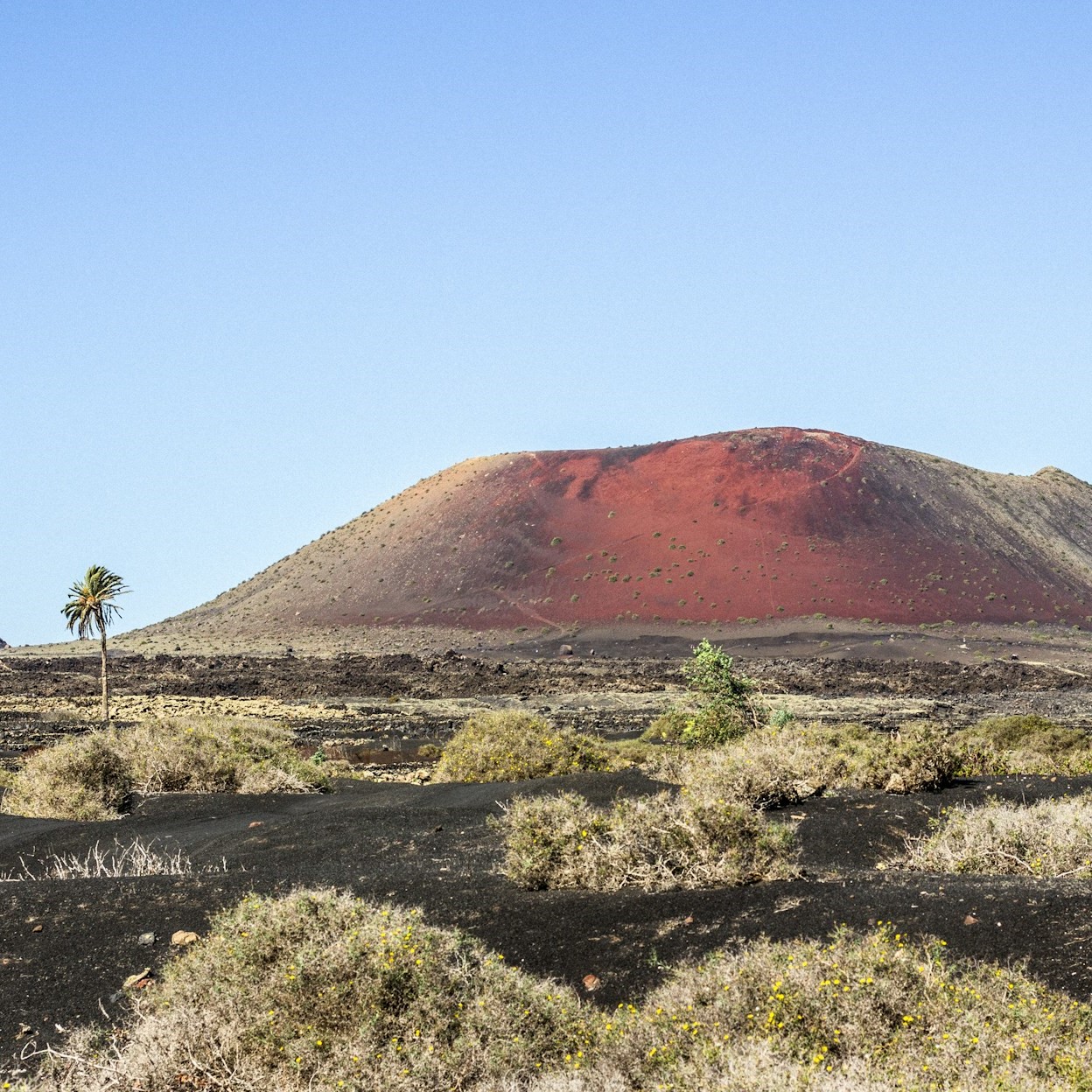 iles-canaries-les-plus-belles-randonnees-lanzarote-montana-colorada