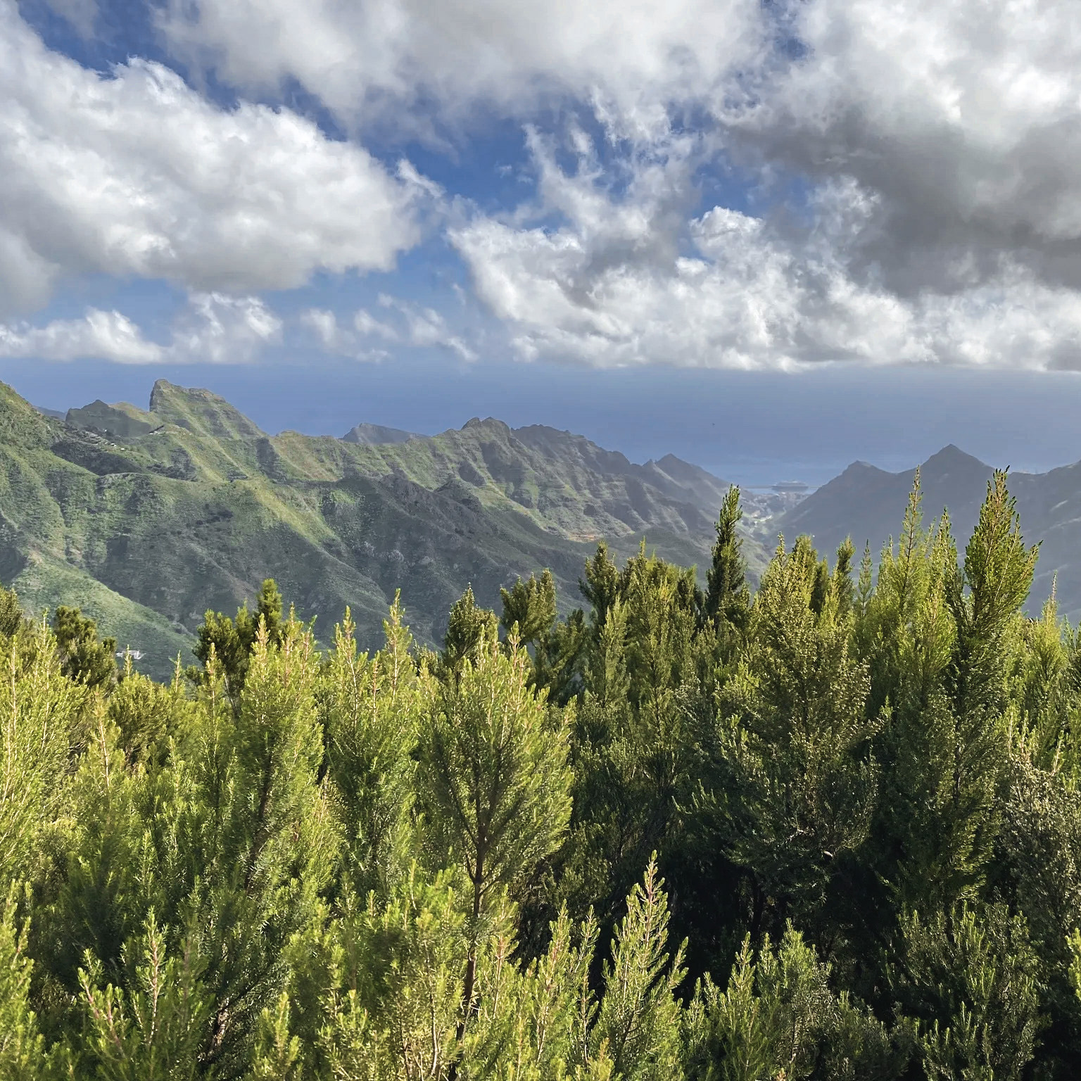 iles-canaries-les-plus-belles-randonnees-tenerife-anaga