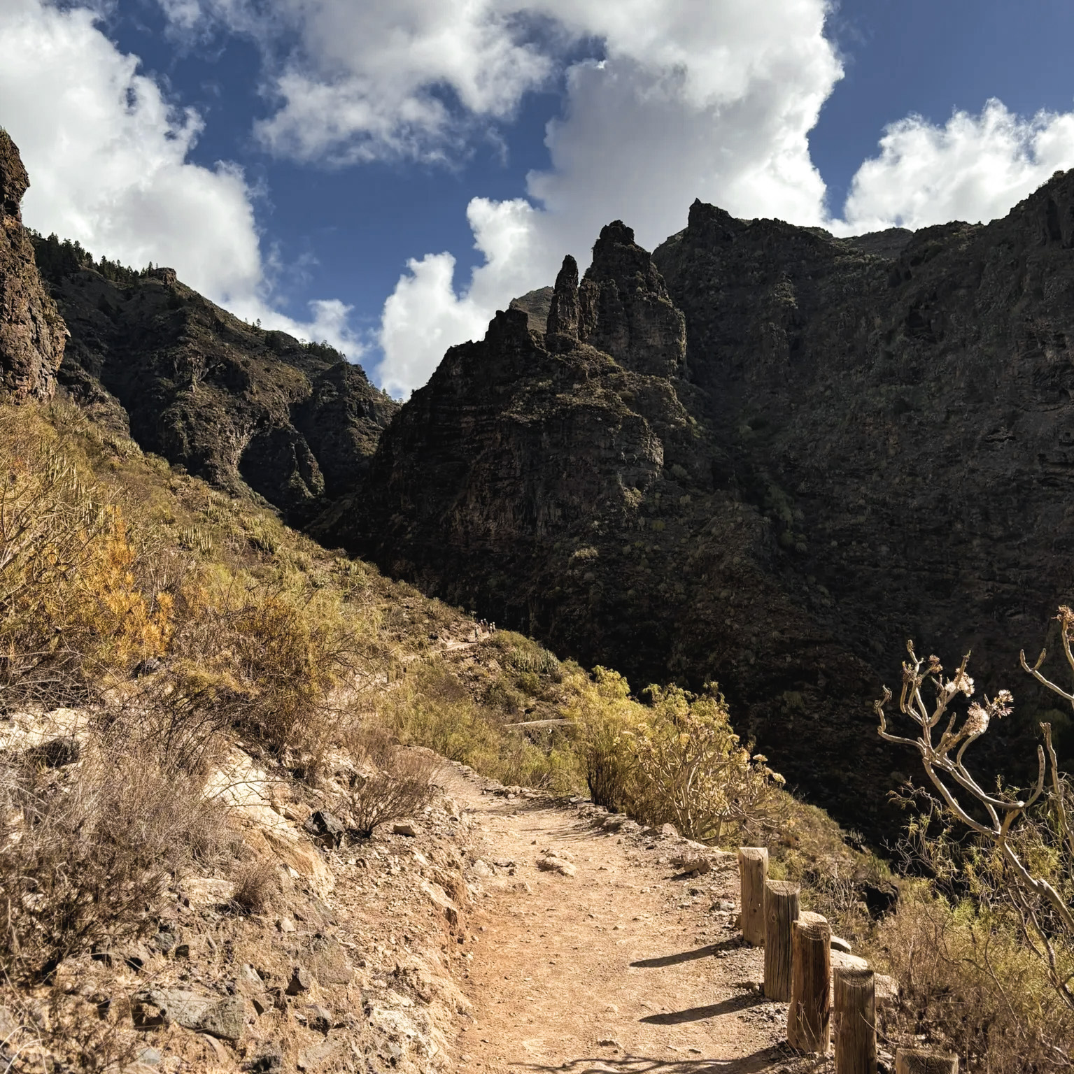 chemin-de-randonnee-a-travers-les-montagnes