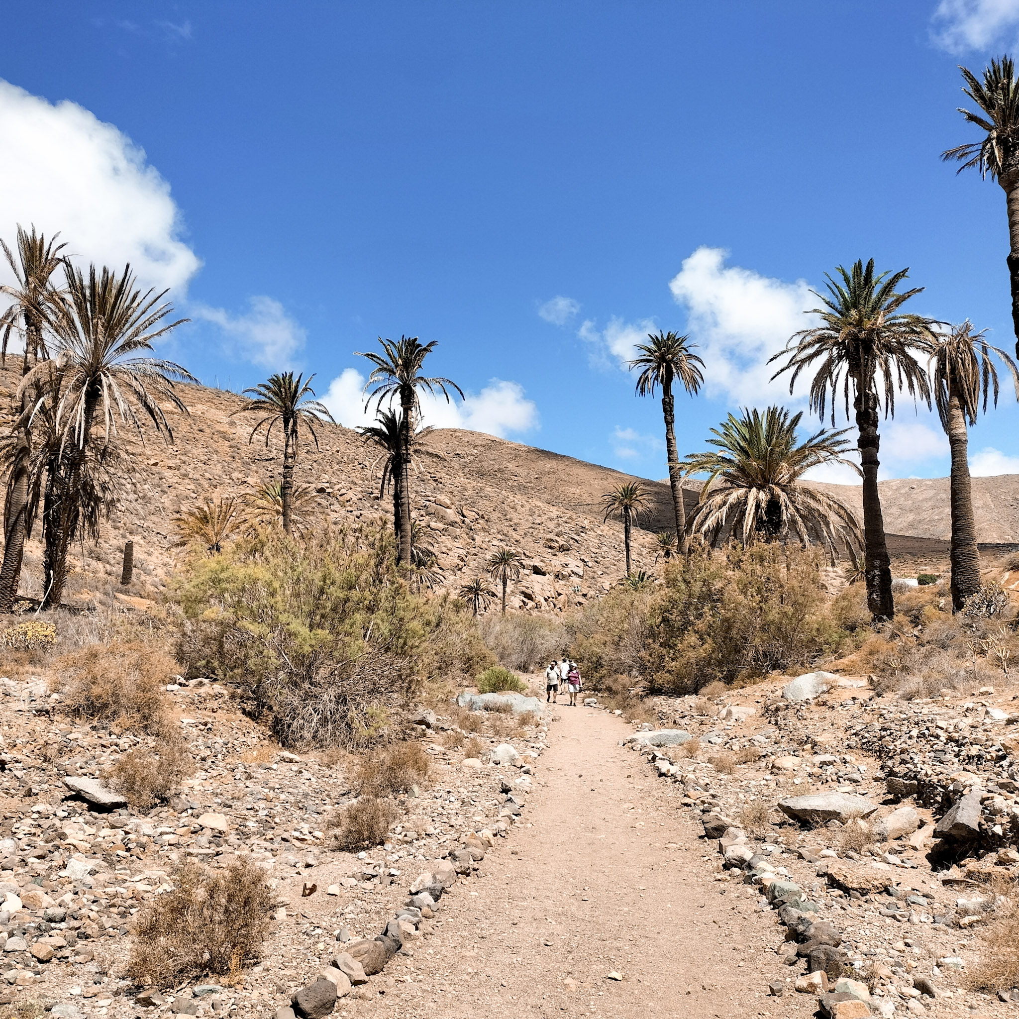 road-trip-itineraire-fuerteventura-iles-canaries-barranco-de-las-penitas