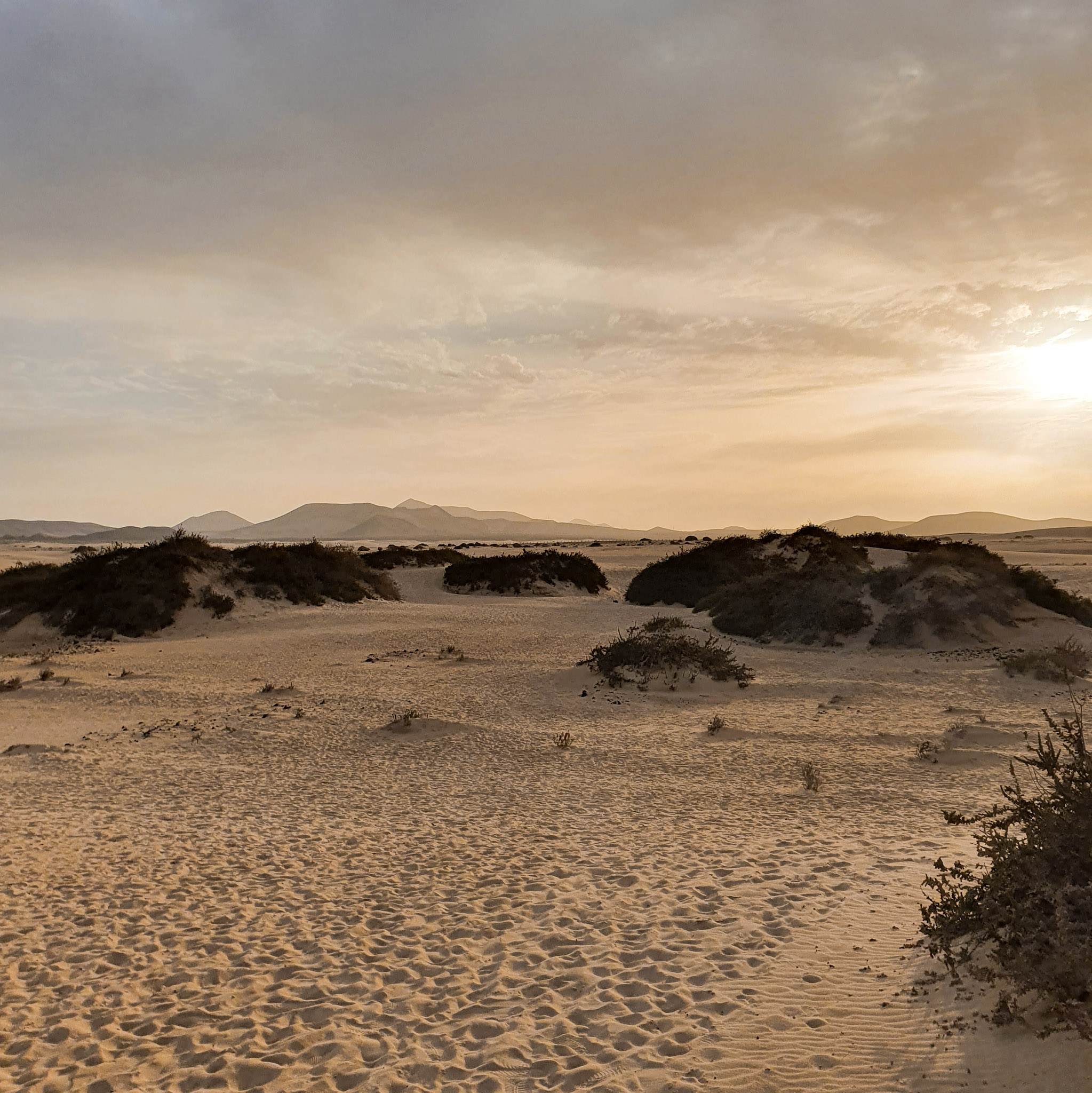 coucher-de-soleil-dans-un-paysage-de-dunes